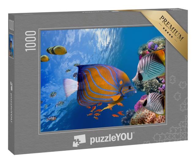 Puzzle 1000 Teile „Zauberhafte Unterwasserwelt, Rotes Meer“