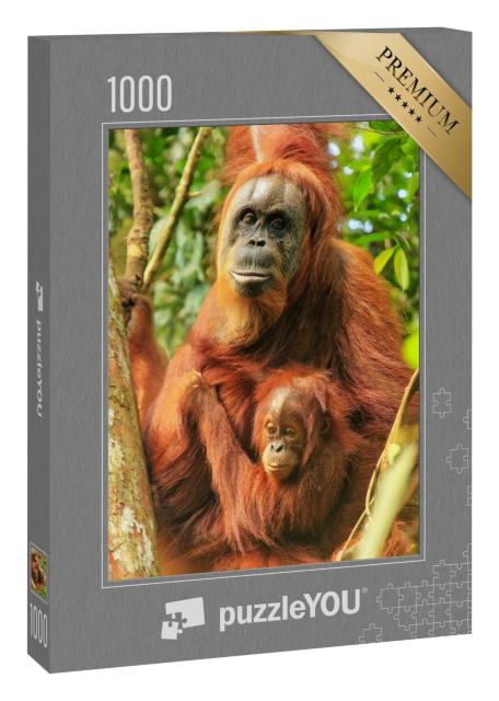 Puzzle 1000 Teile „Weiblicher Sumatra-Orang-Utan mit einem Baby, Indonesien“