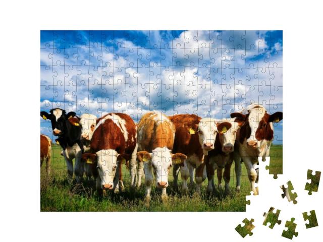 Puzzle 200 Teile „Kühe auf einer grünen Sommerwiese“