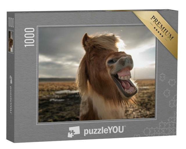Puzzle 1000 Teile „Wildes Islandpferd“