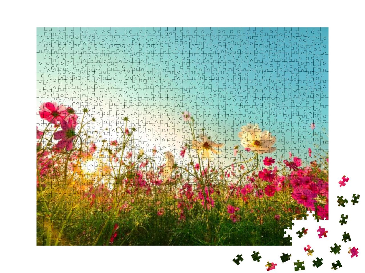 Puzzle 1000 Teile „Schöne Kosmeen blühen im Garten“