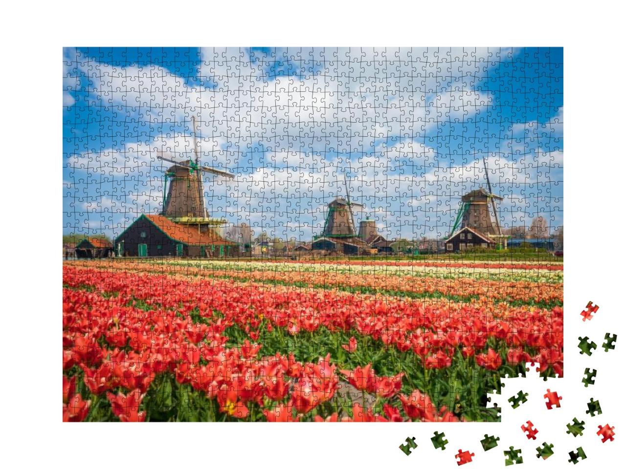 Puzzle 1000 Teile „Wunderschöne Landschaft mit Tulpen und Windmühlen in Zaanse Schans, Niederlande“