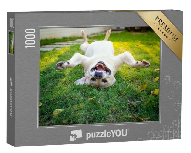 Puzzle 1000 Teile „Labrador Retriever überkopf auf dem Rücken“