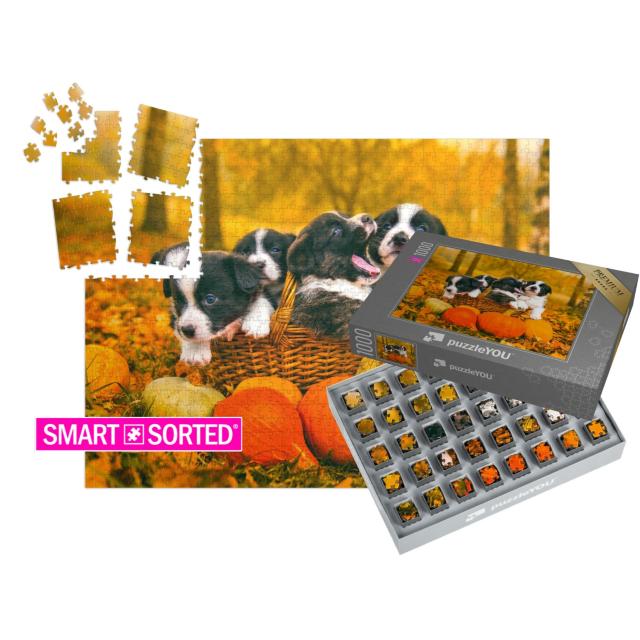 SMART SORTED® | Puzzle 1000 Teile „Welsh Corgi Pembroke Welpen im Herbst“