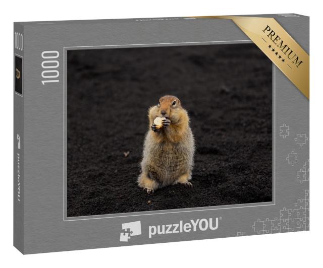 Puzzle 1000 Teile „Ein Erdhörnchen im vulkanischem Sand“