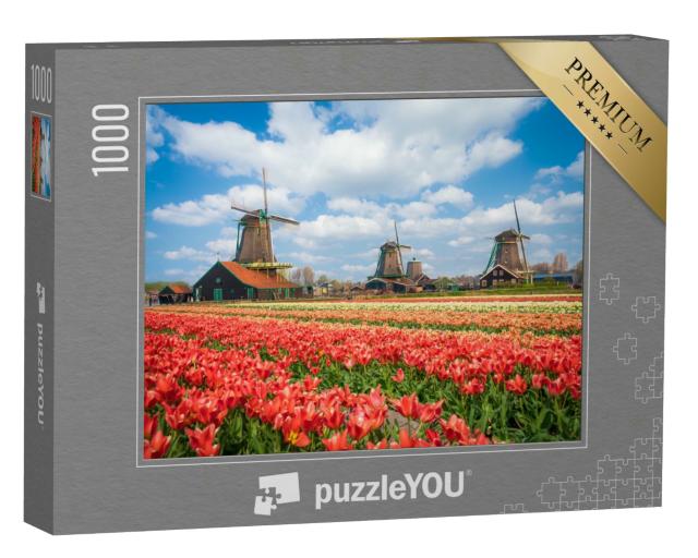 Puzzle 1000 Teile „Wunderschöne Landschaft mit Tulpen und Windmühlen in Zaanse Schans, Niederlande“