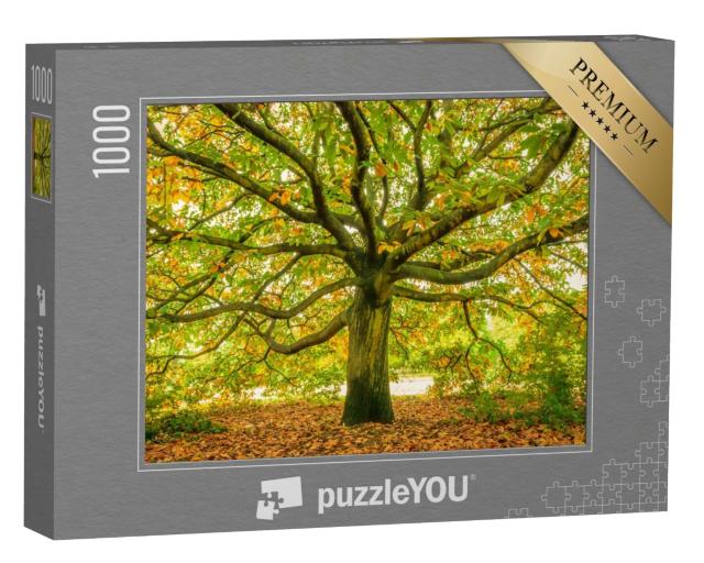 Puzzle 1000 Teile „Uralter Baum im Herbst“