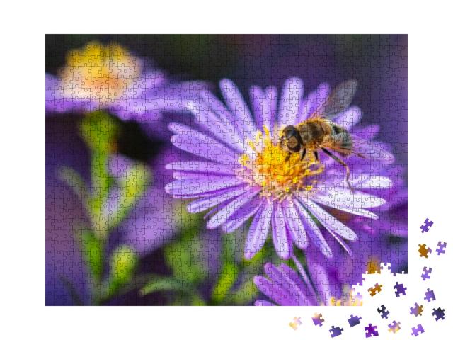 Puzzle 1000 Teile „Biene auf einer violetten Blüte“