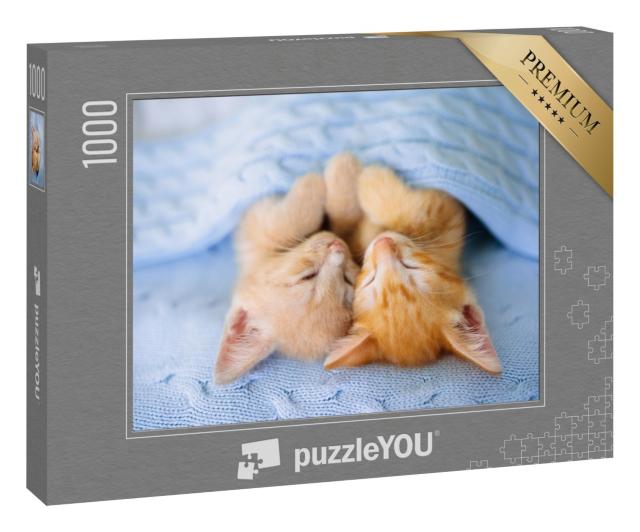 Puzzle 1000 Teile „Zwei schlafende Katzenbabys unter einer kuscheligen blauen Decke“