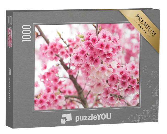 Puzzle 1000 Teile „Wunderschöne blühende Kirschblüten auf dem Berg Yangming, Taiwan“