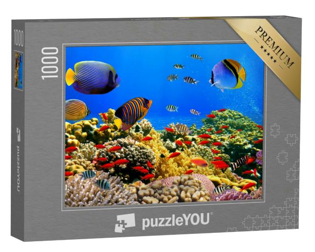 Puzzle 1000 Teile „Korallenkolonie auf einem Riff im Roten Meer“