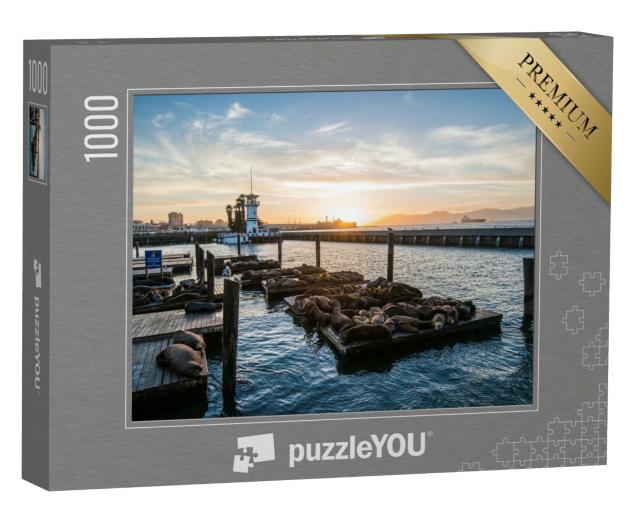 Puzzle 1000 Teile „Seelöwen am Pier 39, San Francisco, Kalifornien, USA“