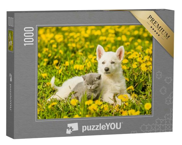 Puzzle 1000 Teile „Welpe und Kätzchen auf einem Löwenzahnfeld“