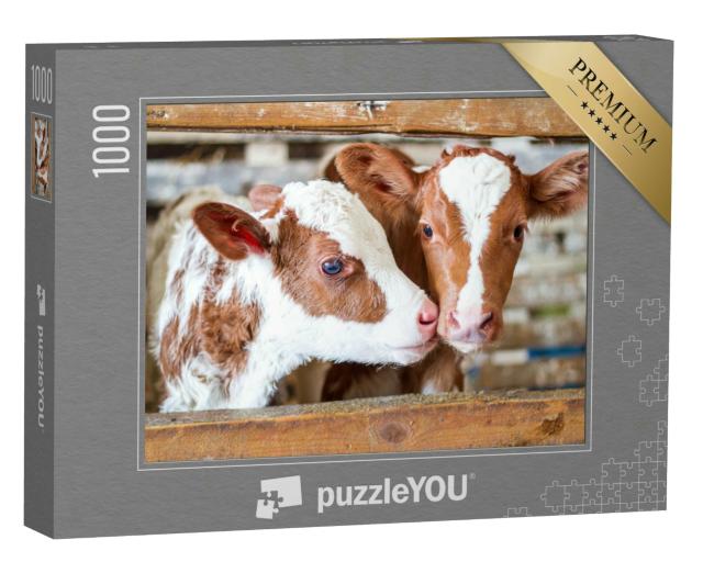 Puzzle 1000 Teile „Zwei Kuhkälbchen im Stall auf dem Lande“
