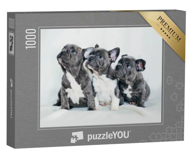 Puzzle 1000 Teile „Porträt von drei bezaubernden Bulldoggenwelpen “