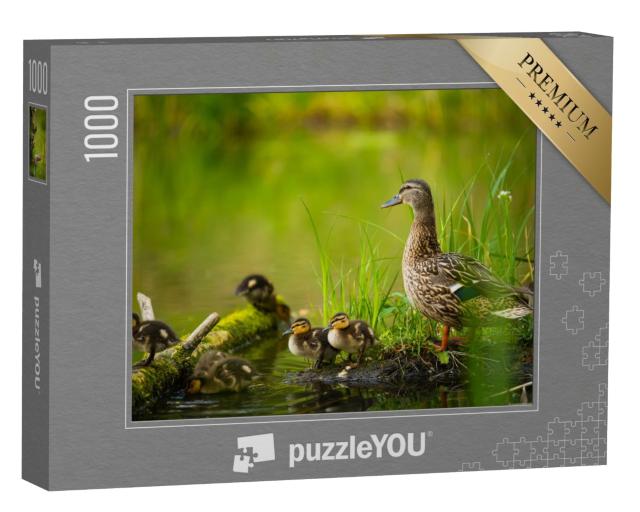 Puzzle 1000 Teile „Stockentenweibchen mit kleinen Entenküken an einem Fluss“