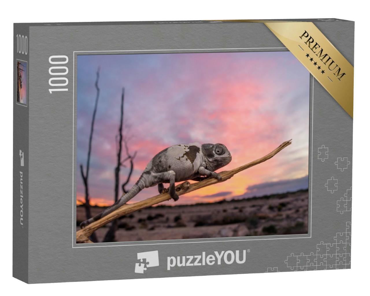 Puzzle 1000 Teile „Gewöhnliches Chamäleon bei Sonnenuntergang, Spanien“