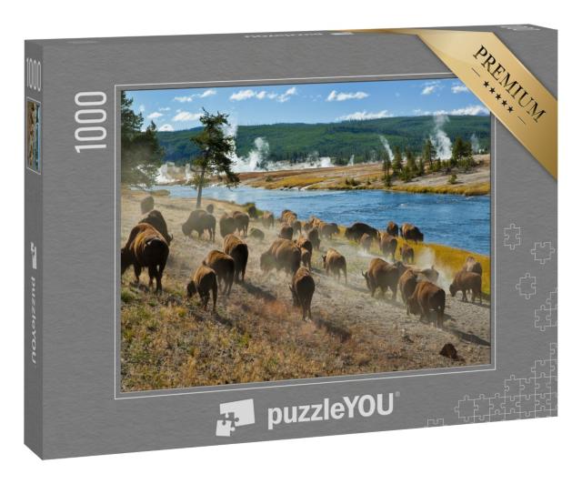 Puzzle 1000 Teile „Eine Bisonherde am Firehole River im Yellowstone Nationalpark“