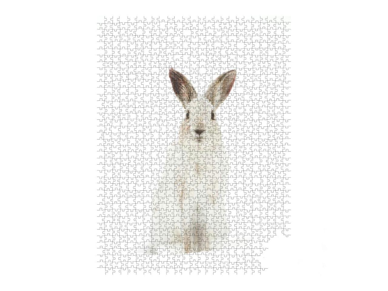 Puzzle 1000 Teile „Weißer Schneehase in seinem natürlichen Lebensraum“