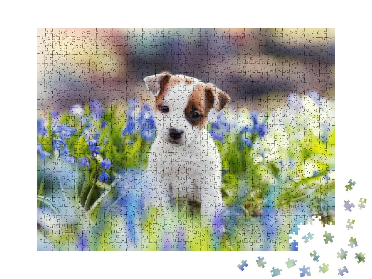 Puzzle 1000 Teile „Weißer Jack-Russell-Terrier-Welpe im Sommer“