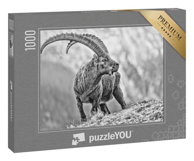 Puzzle 1000 Teile „Porträt des Alpensteinbocks“