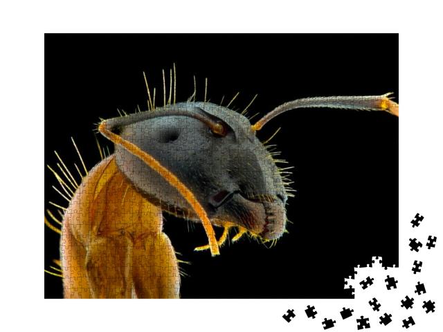Puzzle 1000 Teile „Ein Ameisengesicht als Nahaufnahme“