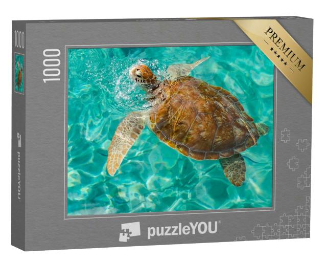 Puzzle 1000 Teile „Schildkröte in Westpunt, Karibikinsel Curacao“