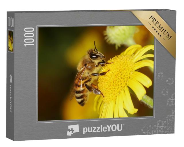 Puzzle 1000 Teile „Eine Honigbiene “