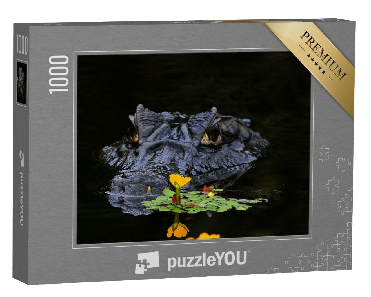 Puzzle 1000 Teile „Kaimane sind Krokodile“