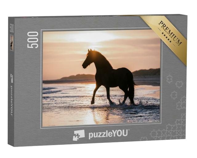 Puzzle 500 Teile „Schwarzes Pferd trabt frei am Strand gegen das Abendlicht“