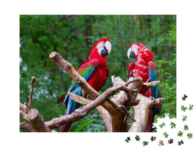 Puzzle 1000 Teile „Papageienpärchen unter sich“