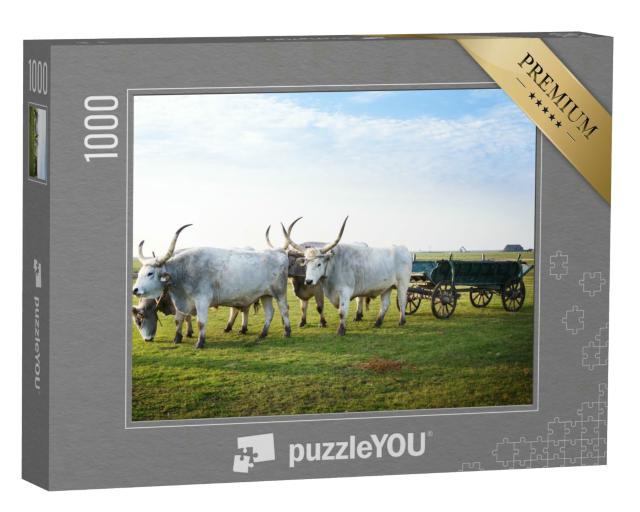 Puzzle 1000 Teile „Hortobagy National Park, Ungarn“