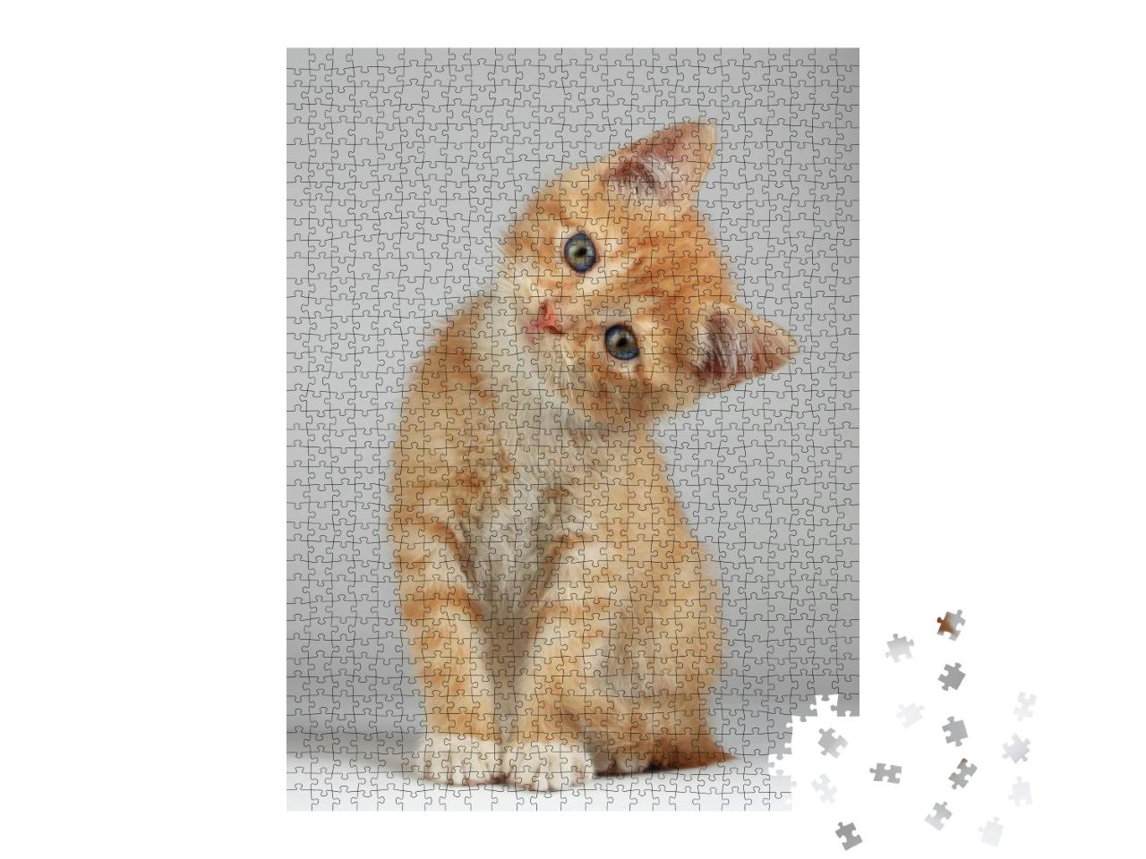 Puzzle 1000 Teile „Niedliches kleines Kätzchen“