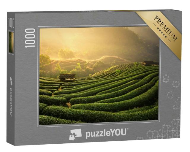 Puzzle 1000 Teile „Teeplantagen im Morgenlicht“