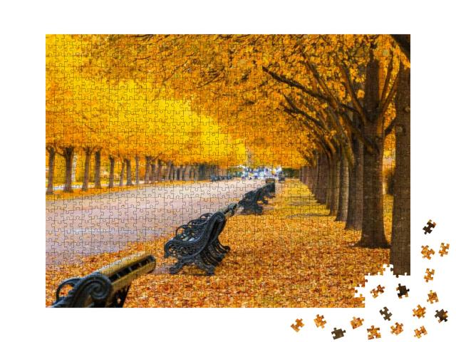 Puzzle 1000 Teile „Von Bäumen gesäumten Allee im Regent's Park, London“