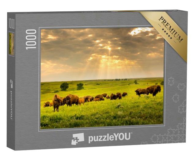 Puzzle 1000 Teile „Bisonherde durchstreift Kansas“