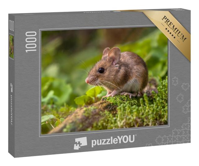Puzzle 1000 Teile „Eine kleine süße Waldmaus“