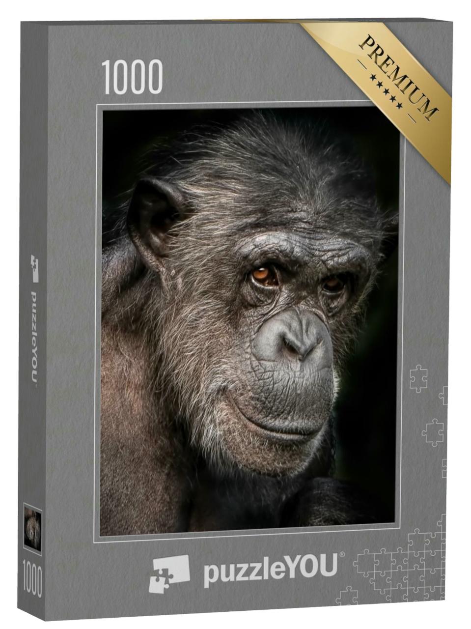 Puzzle 1000 Teile „Ein Porträtfoto eines weiblichen Schimpansen “