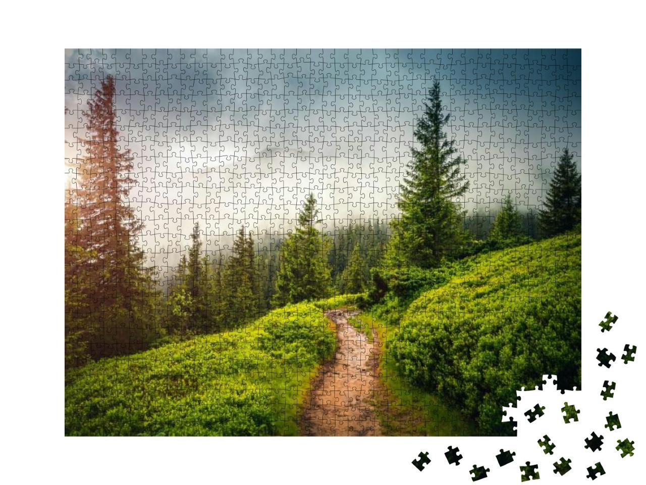 Puzzle 1000 Teile „Pfad im Nadelholznebel“