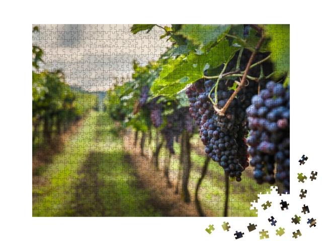Puzzle 1000 Teile „Weinlese und Trauben im Weinberg “