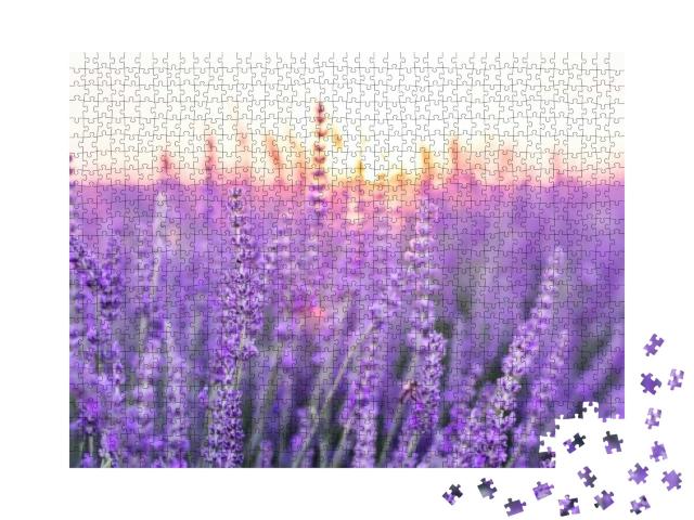 Puzzle 1000 Teile „Sonnenuntergang über einem Lavendelfeld, Provence, Frankreich“