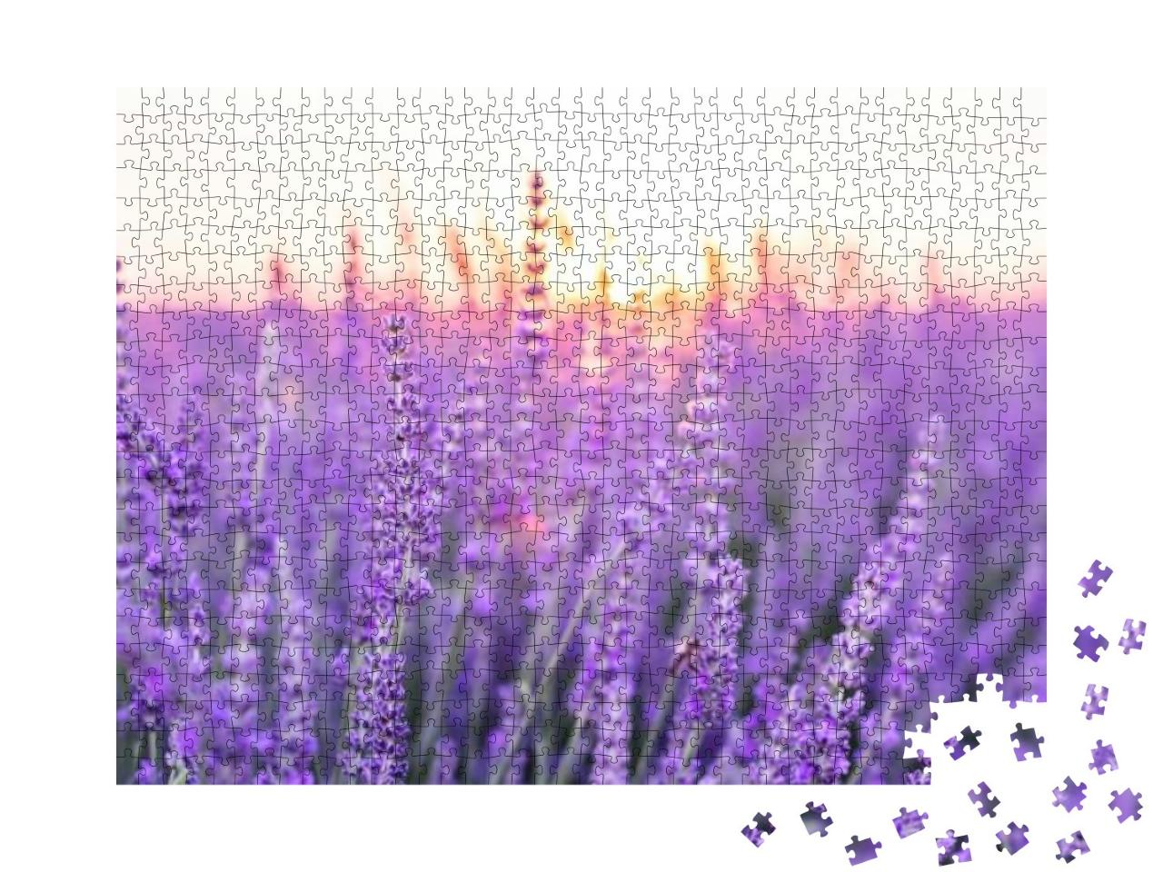 Puzzle 1000 Teile „Sonnenuntergang über einem Lavendelfeld, Provence, Frankreich“