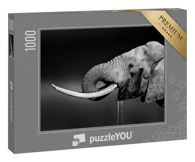 Puzzle 1000 Teile „Elefantenbulle beim Wassertrinken, schwarz-weiß“