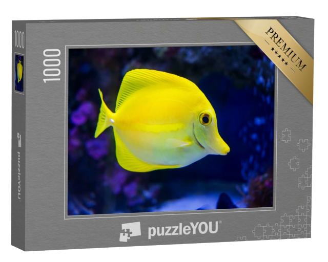 Puzzle 1000 Teile „Gelber Doktorfisch“