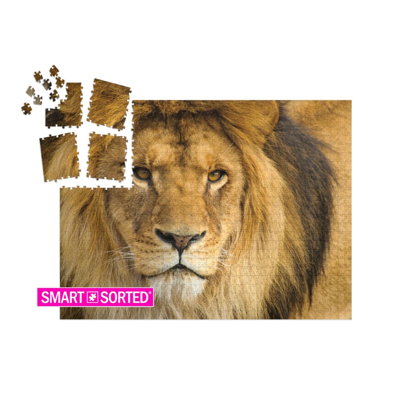 SMART SORTED® | Puzzle 1000 Teile „Portrait eines männlichen Löwen“