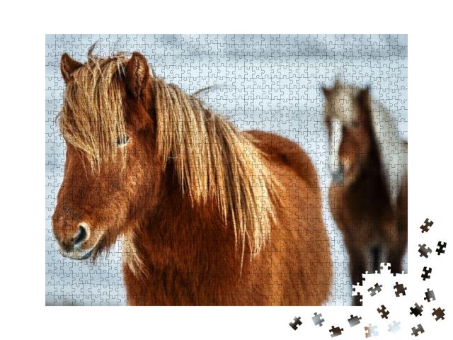Puzzle 1000 Teile „Porträt eines schönen Islandpferdes “