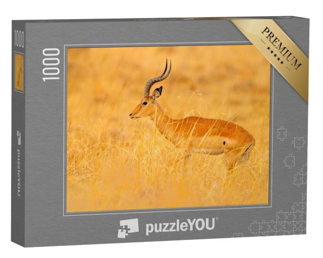 Puzzle 1000 Teile „Antilope inmitten der Gras-Savanne, Südafrika“