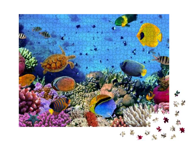 Puzzle 1000 Teile „Korallenkolonie im Roten Meer, Ägypten“