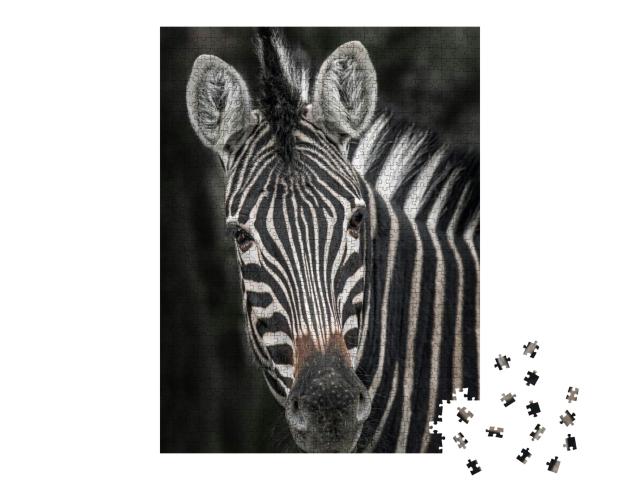 Puzzle 1000 Teile „Nahaufnahme eines Zebras“