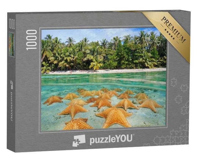 Puzzle 1000 Teile „Eine Gruppe Seesterne am karibischen Strand“